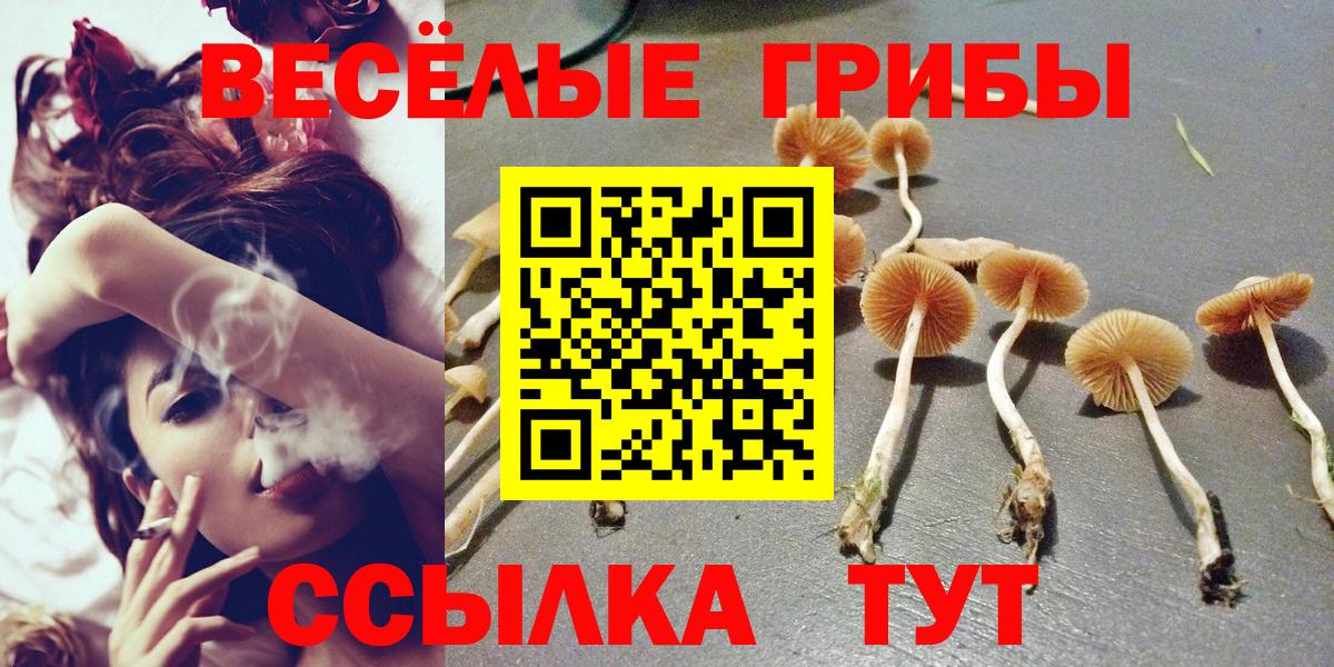 Саранск  Псилоцибиновые грибы мухоморы  продажа наркотиков  Вход с VPN 
