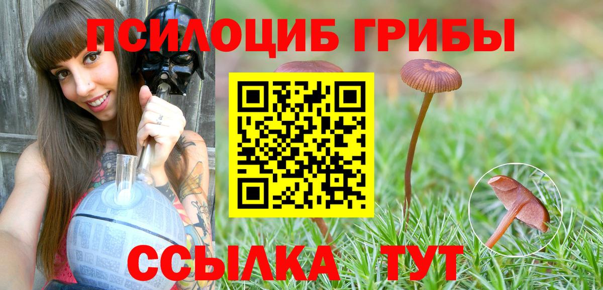 Галлюциногенные грибы прущие грибы Саранск